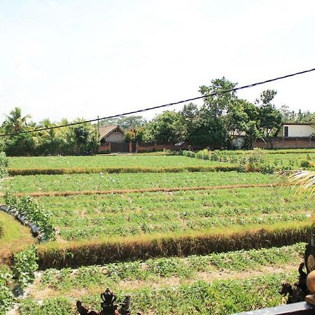 Ancut Sari Hotell Ubud Eksteriør bilde