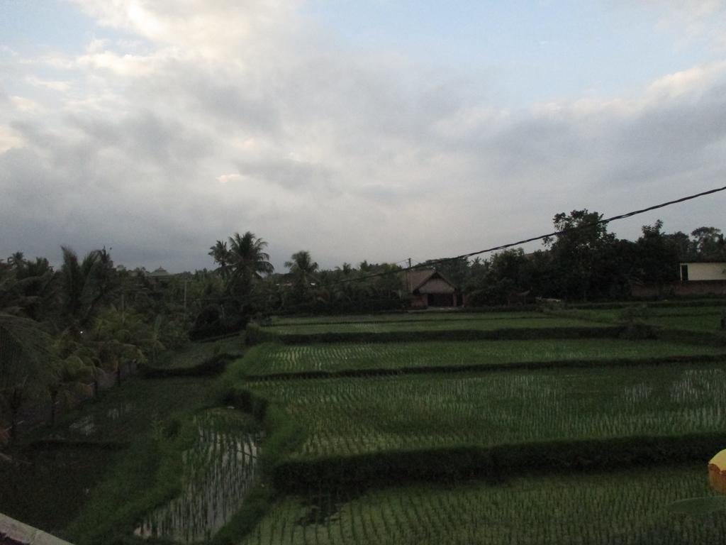 Ancut Sari Hotell Ubud Eksteriør bilde