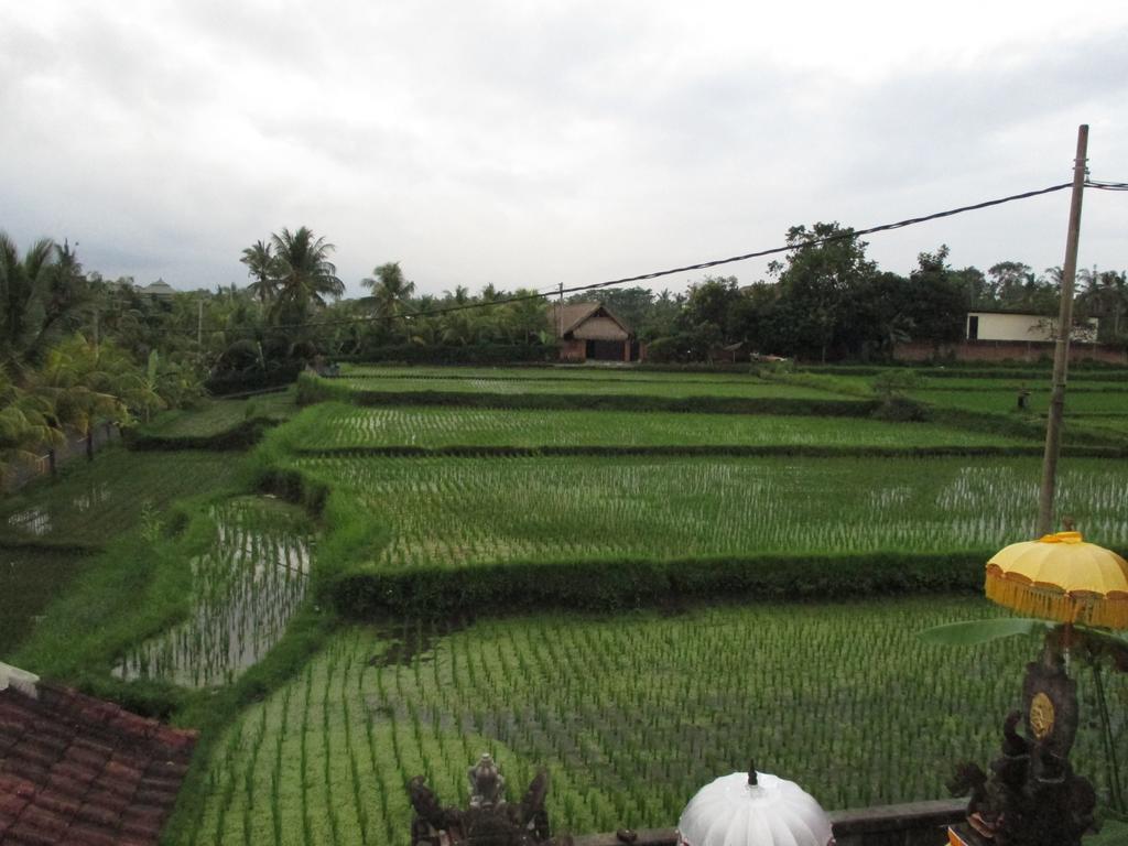Ancut Sari Hotell Ubud Eksteriør bilde