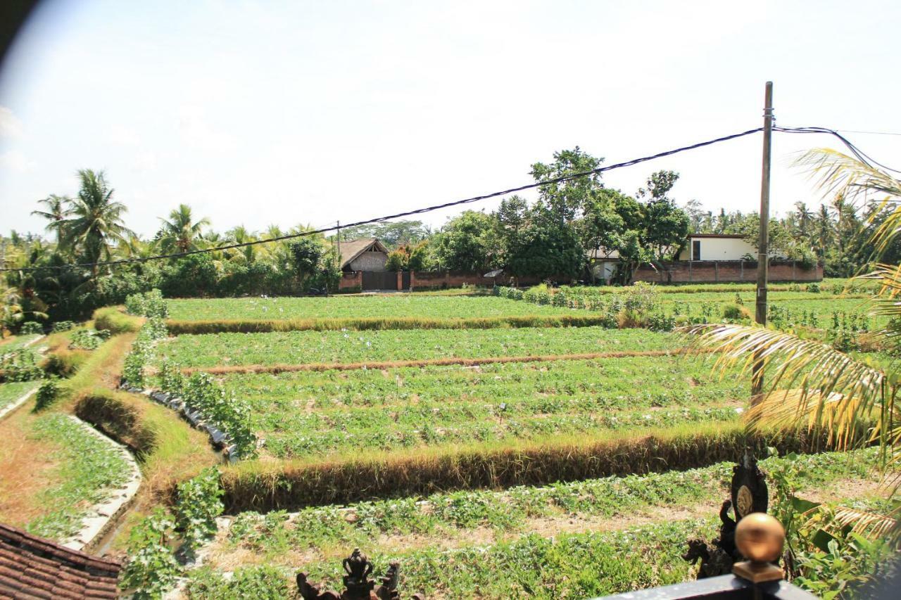 Ancut Sari Hotell Ubud Eksteriør bilde