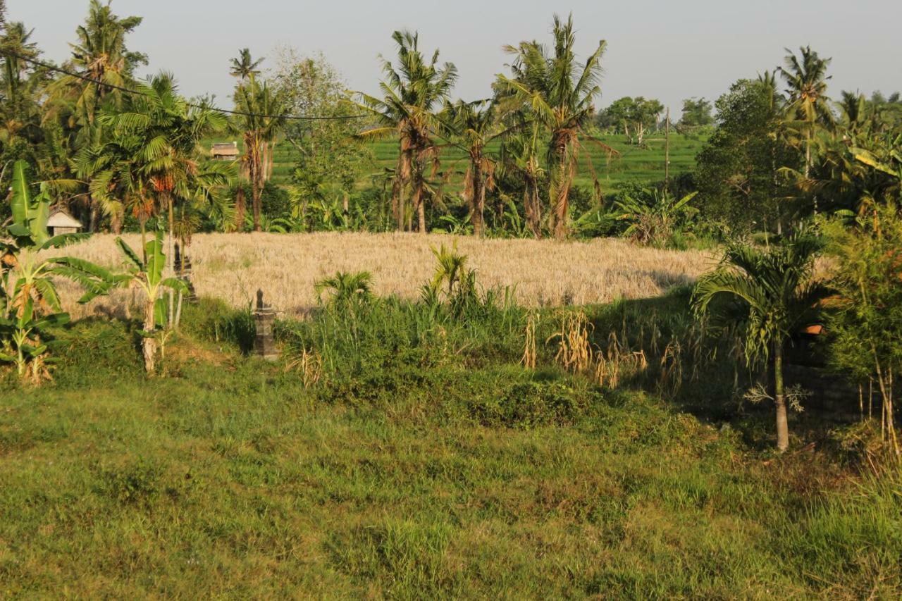 Ancut Sari Hotell Ubud Eksteriør bilde